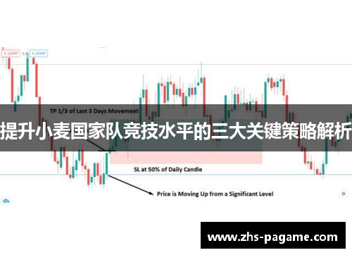提升小麦国家队竞技水平的三大关键策略解析