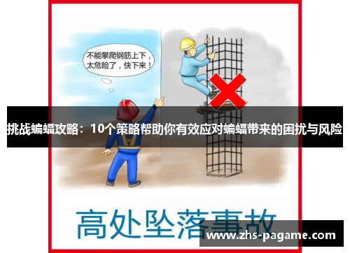 挑战蝙蝠攻略:10个策略帮助你有效应对蝙蝠带来的困扰与风险 挑战蝙蝠攻略:10个策略帮助你有效应对蝙蝠带来的困扰与风险