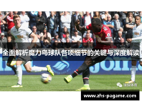 全面解析魔力鸟球队各项细节的关键与深度解读 全面解析魔力鸟球队各项细节的关键与深度解读