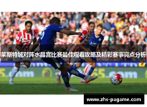 莱斯特城对阵水晶宫比赛最佳观看攻略及精彩赛事亮点分析