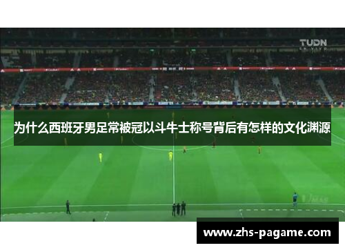 为什么西班牙男足常被冠以斗牛士称号背后有怎样的文化渊源