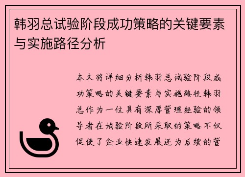 韩羽总试验阶段成功策略的关键要素与实施路径分析 韩羽总试验阶段成功策略的关键要素与实施路径分析