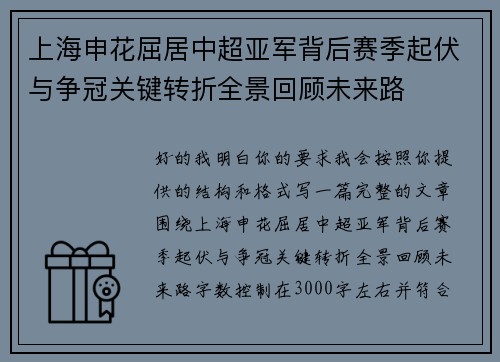 上海申花屈居中超亚军背后赛季起伏与争冠关键转折全景回顾未来路 上海申花屈居中超亚军背后赛季起伏与争冠关键转折全景回顾未来路