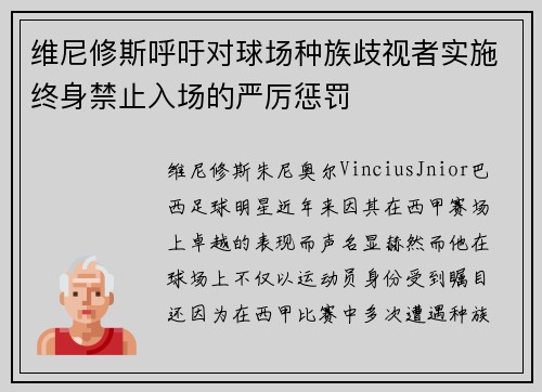 维尼修斯呼吁对球场种族歧视者实施终身禁止入场的严厉惩罚